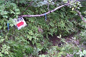 �Η��x�`�n�̔w�`���ҁ`���_�̒r�`�F�����`����ҁ`���x���`�Η��x�o�R�� | �k�C���Η��x�o�R