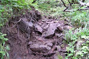 �Η��x�`�n�̔w�`���ҁ`���_�̒r�`�F�����`����ҁ`���x���`�Η��x�o�R�� | �k�C���Η��x�o�R