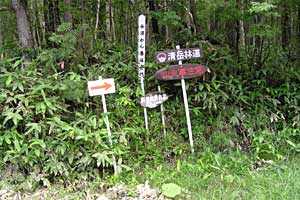 �Η��x�`�n�̔w�`���ҁ`���_�̒r�`�F�����`����ҁ`���x���`�Η��x�o�R�� | �k�C���Η��x�o�R