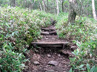 �ԏ�R�r�W�^�[�Z���^�[�`��x�`���w�R | �ԏ�R���w�R�n�C�L���O