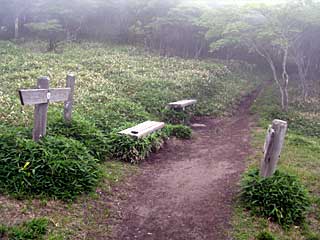 �ԏ�R�r�W�^�[�Z���^�[�`��x�`���w�R | �ԏ�R���w�R�n�C�L���O