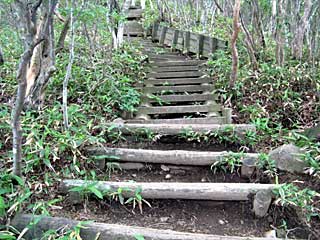 �ԏ�R�r�W�^�[�Z���^�[�`��x�`���w�R | �ԏ�R���w�R�n�C�L���O