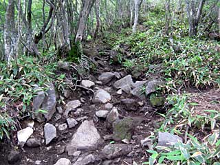 �ԏ�R�r�W�^�[�Z���^�[�`��x�`���w�R | �ԏ�R���w�R�n�C�L���O