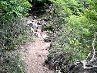 �ԏ�R�r�W�^�[�Z���^�[�`��x�`���w�R | �ԏ�R���w�R�n�C�L���O