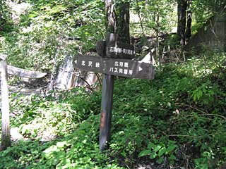 �L�͌��`�k�򋴁`�������� | ��A���v�X�����x�c��