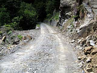 �L�͌��`�k�򋴁`�������� | ��A���v�X�����x�c��