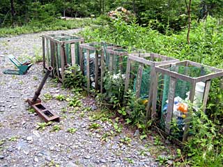 �L�͌��`�k�򋴁`�������� | ��A���v�X�����x�c��