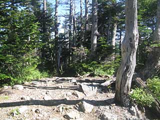 ���������`�O��x�`�ԃm�x�`�F�̕����� | ��A���v�X�����x�c��