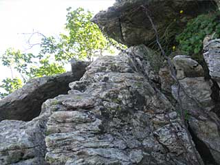 ���������`�O��x�`�ԃm�x�`�F�̕����� | ��A���v�X�����x�c��