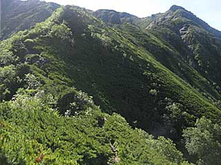 ���������`�O��x�`�ԃm�x�`�F�̕����� | ��A���v�X�����x�c��