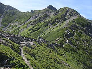 ���������`�O��x�`�ԃm�x�`�F�̕����� | ��A���v�X�����x�c��