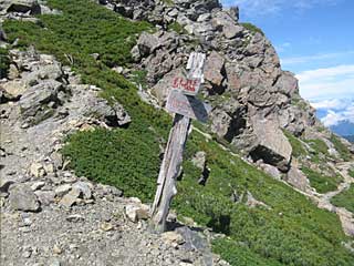 ���������`�O��x�`�ԃm�x�`�F�̕����� | ��A���v�X�����x�c��