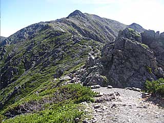 ���������`�O��x�`�ԃm�x�`�F�̕����� | ��A���v�X�����x�c��