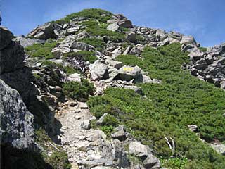 ���������`�O��x�`�ԃm�x�`�F�̕����� | ��A���v�X�����x�c��