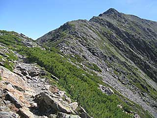 ���������`�O��x�`�ԃm�x�`�F�̕����� | ��A���v�X�����x�c��