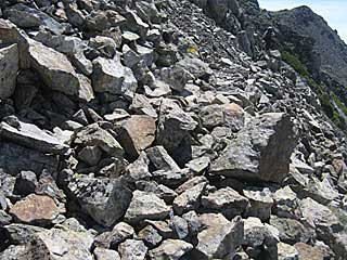 ���������`�O��x�`�ԃm�x�`�F�̕����� | ��A���v�X�����x�c��