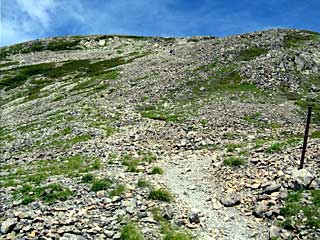 ���������`�O��x�`�ԃm�x�`�F�̕����� | ��A���v�X�����x�c��