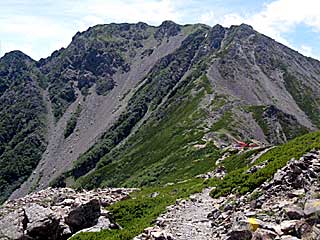 ���������`�O��x�`�ԃm�x�`�F�̕����� | ��A���v�X�����x�c��