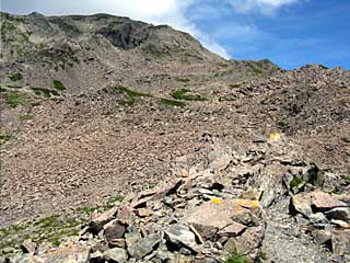 ���������`�O��x�`�ԃm�x�`�F�̕����� | ��A���v�X�����x�c��