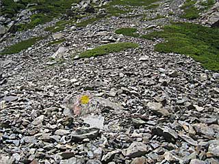 ���������`�O��x�`�ԃm�x�`�F�̕����� | ��A���v�X�����x�c��