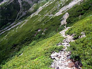 ���������`�O��x�`�ԃm�x�`�F�̕����� | ��A���v�X�����x�c��