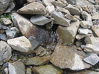 ���������`�O��x�`�ԃm�x�`�F�̕����� | ��A���v�X�����x�c��