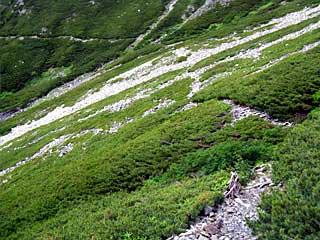 ���������`�O��x�`�ԃm�x�`�F�̕����� | ��A���v�X�����x�c��