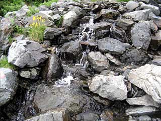 ���������`�O��x�`�ԃm�x�`�F�̕����� | ��A���v�X�����x�c��