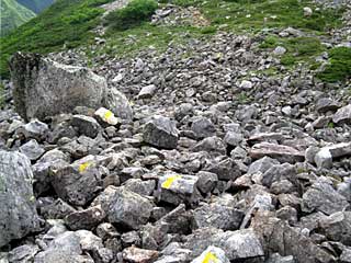 ���������`�O��x�`�ԃm�x�`�F�̕����� | ��A���v�X�����x�c��