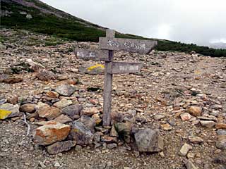 ���������`�O��x�`�ԃm�x�`�F�̕����� | ��A���v�X�����x�c��