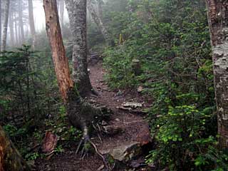 �F�̕������`�k�r��x�`�����x�`���������`�O�������� | ��A���v�X�����x�c��