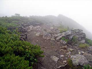 �F�̕������`�k�r��x�`�����x�`���������`�O�������� | ��A���v�X�����x�c��