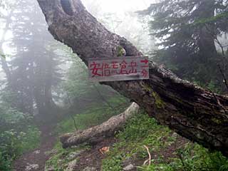 �F�̕������`�k�r��x�`�����x�`���������`�O�������� | ��A���v�X�����x�c��