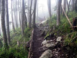 �F�̕������`�k�r��x�`�����x�`���������`�O�������� | ��A���v�X�����x�c��