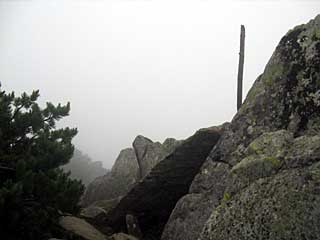 �F�̕������`�k�r��x�`�����x�`���������`�O�������� | ��A���v�X�����x�c��