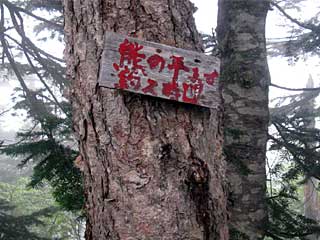 �F�̕������`�k�r��x�`�����x�`���������`�O�������� | ��A���v�X�����x�c��