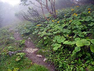 �F�̕������`�k�r��x�`�����x�`���������`�O�������� | ��A���v�X�����x�c��