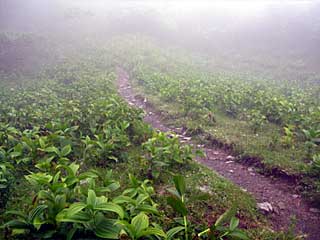 �F�̕������`�k�r��x�`�����x�`���������`�O�������� | ��A���v�X�����x�c��