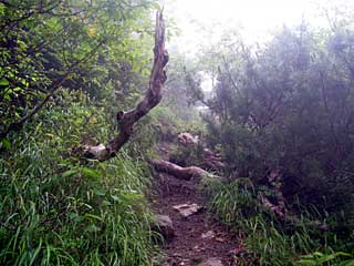 �F�̕������`�k�r��x�`�����x�`���������`�O�������� | ��A���v�X�����x�c��