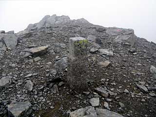 �F�̕������`�k�r��x�`�����x�`���������`�O�������� | ��A���v�X�����x�c��