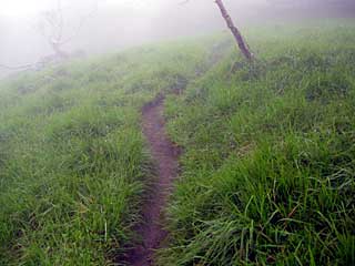 �F�̕������`�k�r��x�`�����x�`���������`�O�������� | ��A���v�X�����x�c��