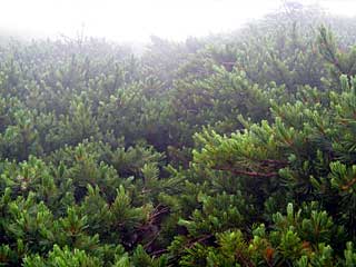 �F�̕������`�k�r��x�`�����x�`���������`�O�������� | ��A���v�X�����x�c��