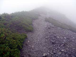 �F�̕������`�k�r��x�`�����x�`���������`�O�������� | ��A���v�X�����x�c��