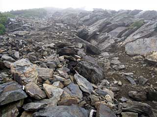 �F�̕������`�k�r��x�`�����x�`���������`�O�������� | ��A���v�X�����x�c��