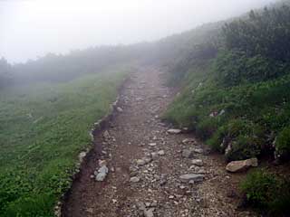 �F�̕������`�k�r��x�`�����x�`���������`�O�������� | ��A���v�X�����x�c��