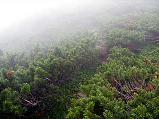 �F�̕������`�k�r��x�`�����x�`���������`�O�������� | ��A���v�X�����x�c��