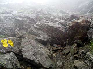 �F�̕������`�k�r��x�`�����x�`���������`�O�������� | ��A���v�X�����x�c��