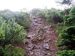 �F�̕������`�k�r��x�`�����x�`���������`�O�������� | ��A���v�X�����x�c��