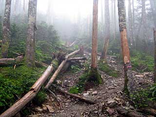 �F�̕������`�k�r��x�`�����x�`���������`�O�������� | ��A���v�X�����x�c��