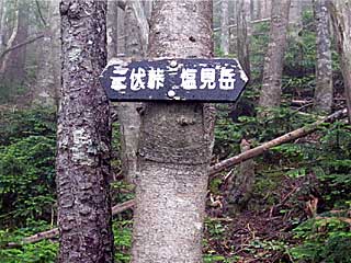 �F�̕������`�k�r��x�`�����x�`���������`�O�������� | ��A���v�X�����x�c��